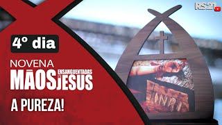 Novena das Mãos Ensanguentadas de Jesus | 4º A Pureza | Rede Século 21