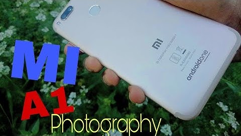 Mi A1 photography | video | zoom test |must watch