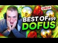 BEST OF DOFUS #59 - PRO-TEAM DROP UN DOFUS VULBIS EN PLEIN LIVE 😱