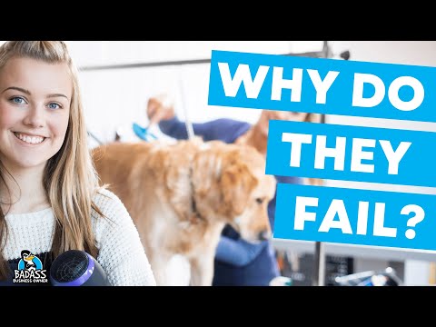 Video: Hundesundhedsproblemer relateret til plejeprodukter