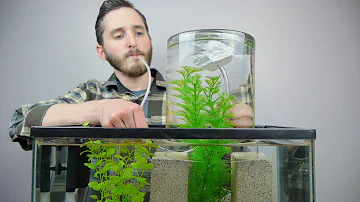 Make A Vacuum Suspended Fish Tank