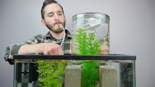 This is an interesting way to turn a classic science experiment into a functioning addition to a fish tank. It makes a pretty cool display! 