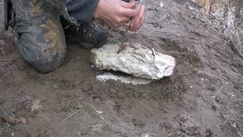 Improved Figure Four Deadfall - Wilderness Survival Skills