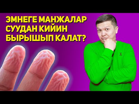 Video: Эмнеге дайыма уктагыңыз келет жана бул үчүн эмне кылуу керек