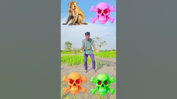 Which God do you believe in? #shankar ji #laxmi ji #ganesh ji #hanuman ji #relegious #devotion