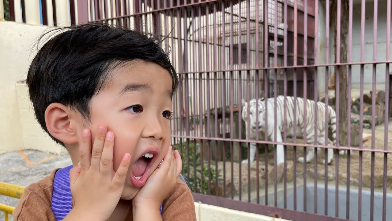 【岡山】 池田動物園に行ったよ！ホワイトタイガーやキリンもいたよ！ 子供 遊び　るたししチャンネル