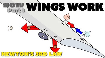 How Wings Work and Create Lift - Newton