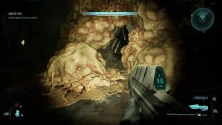 Halo: Campaign Evolved - Sergeant Mobuto 
