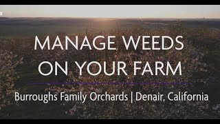 Manage Weeds on Your Farm Soil Health at Burroughs Family Orchards