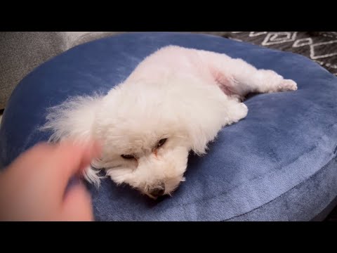 【悲報】災難続きでしばらく寝たきりの生活になりました、、