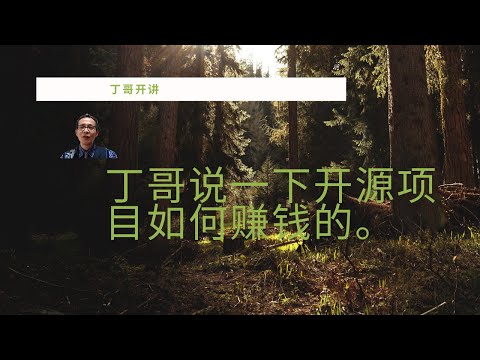 丁哥说一下开源项目如何赚钱的。