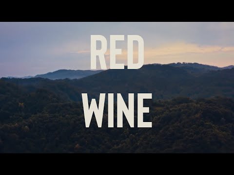 Hardplay - Red Wine (Official Video)