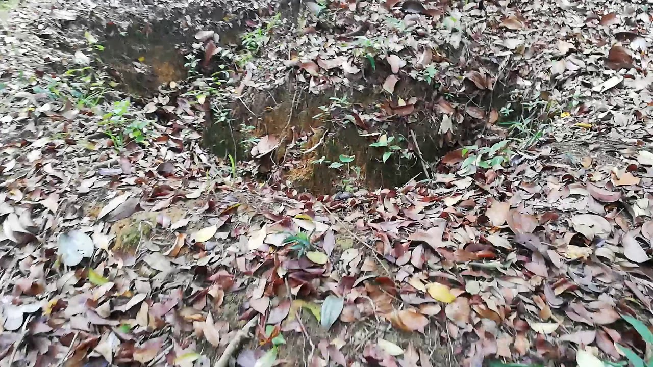 WW2 British foxhole during Battle of Kampar