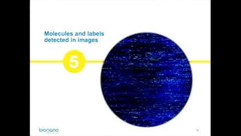 Genome10K Bionano Tech Talk