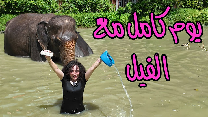 عشت يوم كامل مع الفيل