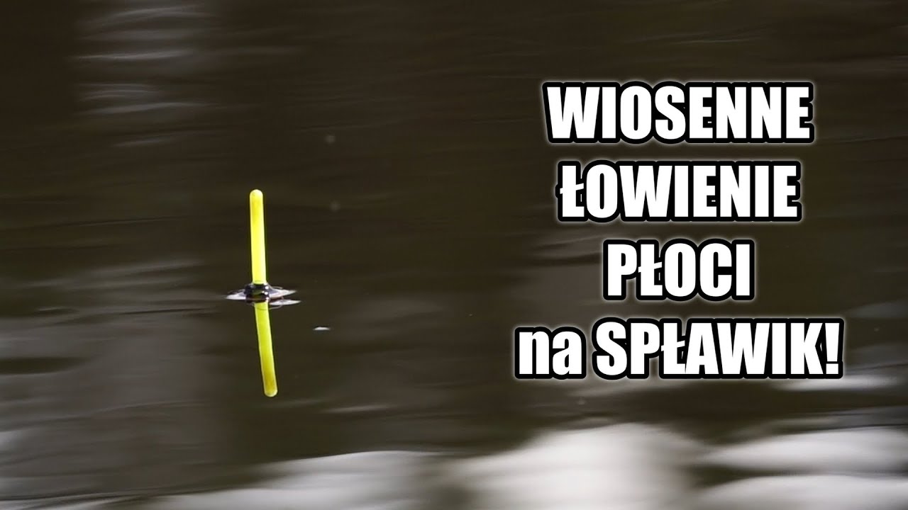 TAKIE RYBY na SPŁAWIK !!! Ta miejscówka nie zawiodła mnie nigdy !!!