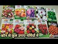 Top 10 Summer Flowers in India (From seeds ) Top 10 Summer Flowers in India (From seeds )