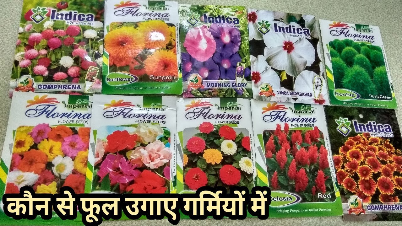 Top 10 Summer Flowers in India (From seeds ) - YouTube