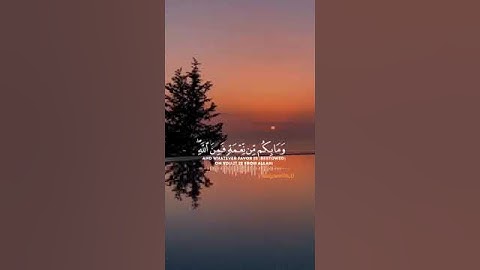 قران كريم ( وما بكم من نعمة فمن الله ) تلاوة خاشعة