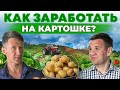 Самый лучший сорт картошки! Как хранить и продавать культуру? Картошка как бизнес | Андрей Даниленко