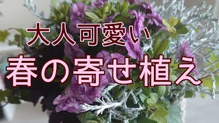 オシャレな[寄せ植え]大人可愛いカリブラコアを使った春の寄せ植えです！