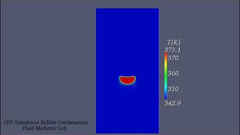 Single Bubble Condensation with OpenFOAM-Temperature