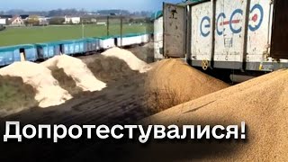 💸❗ СЮРПРИЗ для польських протестувальників за висипані 180 тонн української кукурудзи!