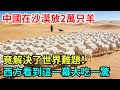 中國在沙漠放2萬只羊，竟解決了世界難題！西方看到這一幕大吃一驚！【風雲紀實】#科普#熱門#中國高鐵#國際觀點#大國工程#沙漠工程 thumbnail