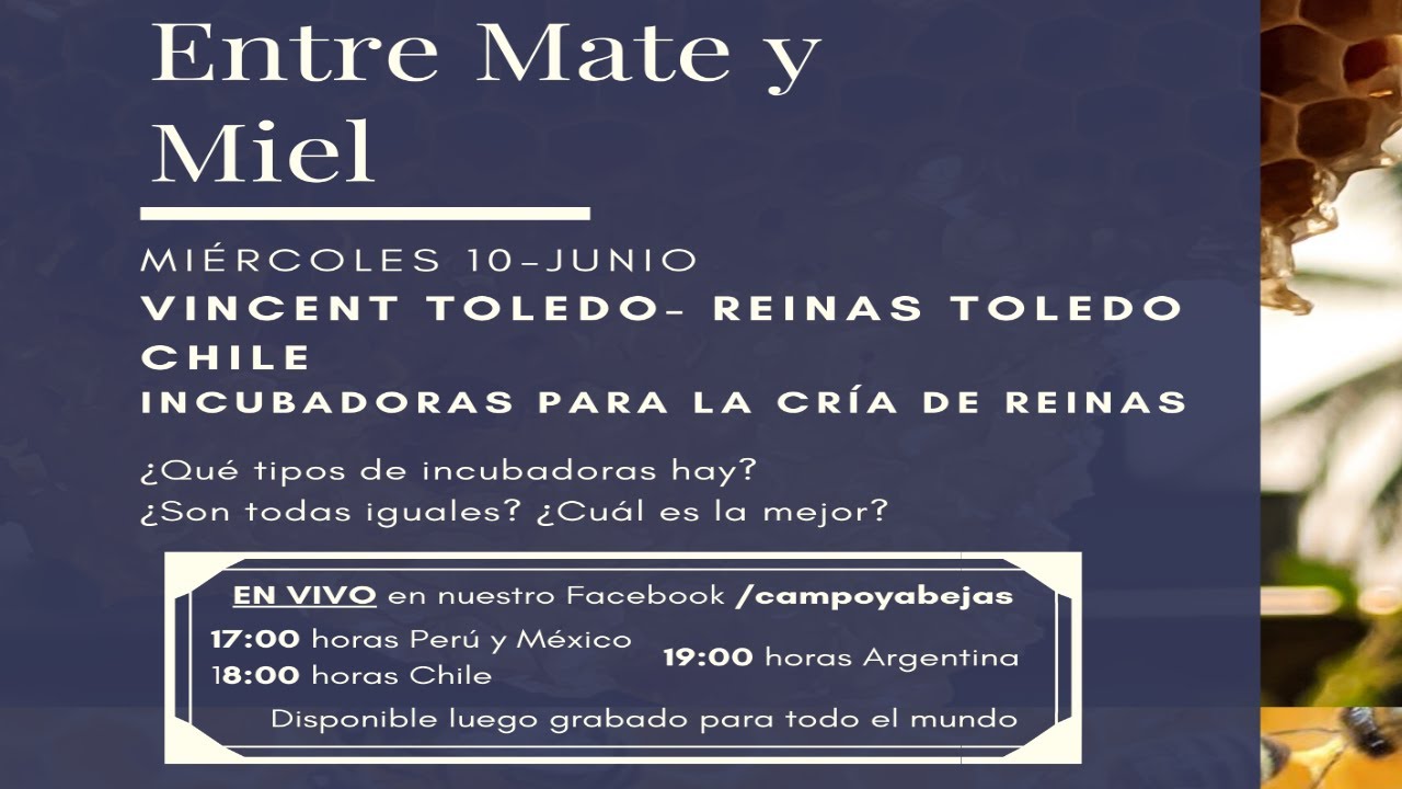 Entre Mate y Miel - Uso de incubadoras en la cría de reinas