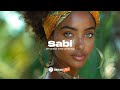 Samy Lrzo x Jungeli Type Beat (Afro Guitar x Afro Beat instrumental) " SABI "
