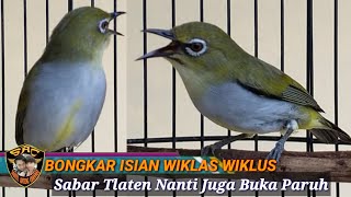 Download Mp3 Pleci Buxtoni Sumatera Wiksar Wiklus Wiklas