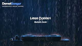 Limon Çiçekleri - Mustafa Ceceli (Remix)