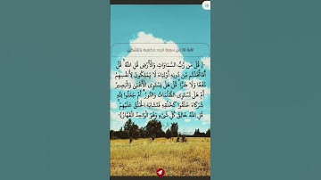 سورة الرعد 16