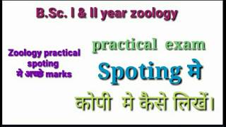 #Bsc. l &ll year Zoology practical मे spoting की तैयारी कैसे करे।।