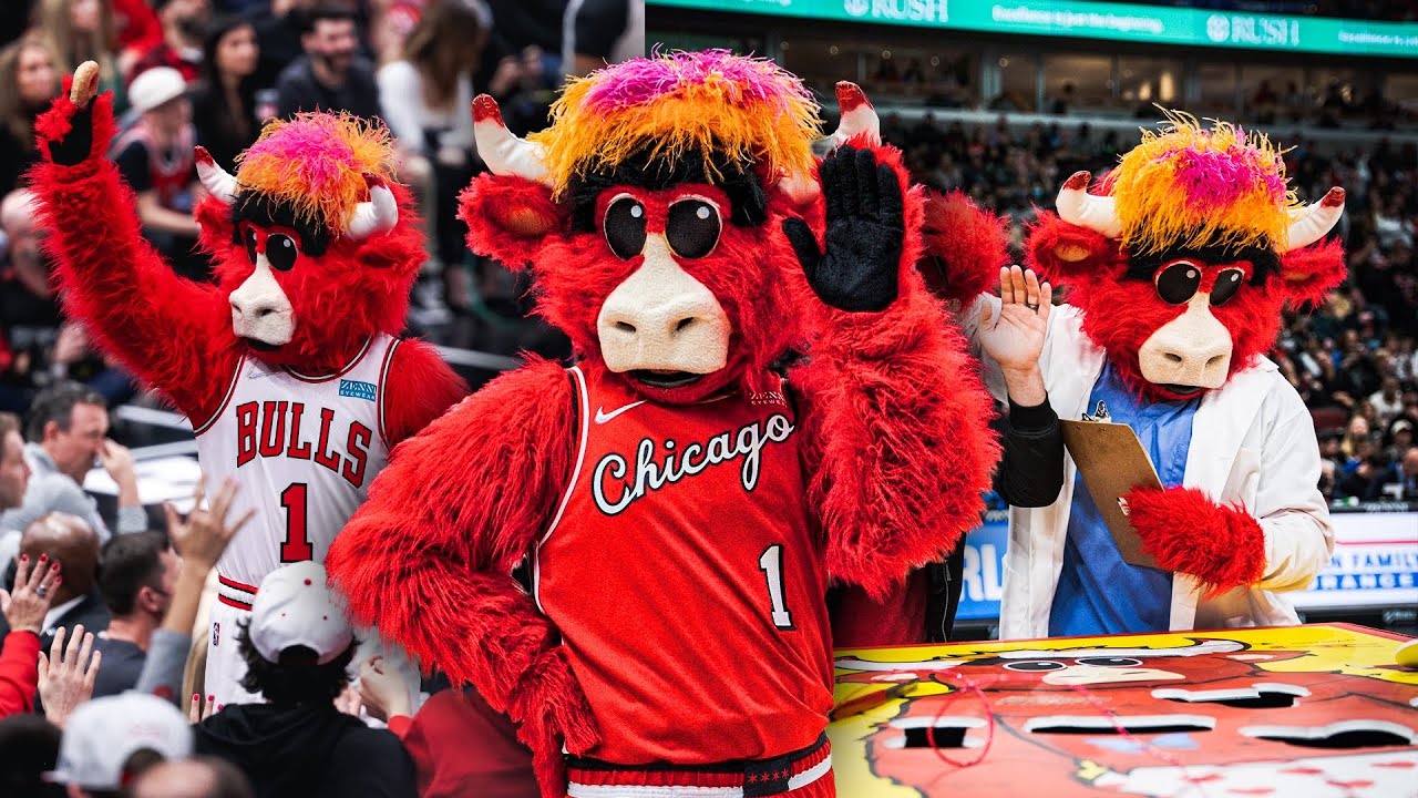 Benny the Bull (@bennythebull) • Instagram photos and videos