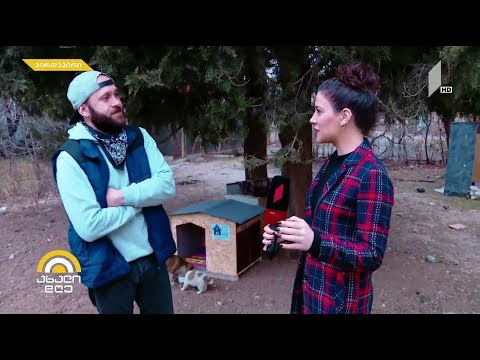 #ახალიდღე სახლები მიუსაფარი ცხოველებისთვის