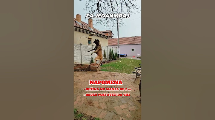 Kako naučiti PSA da ne odnosi i gricka obuću #mojpas #obukapasa #dresurapasa #balkan #doglover