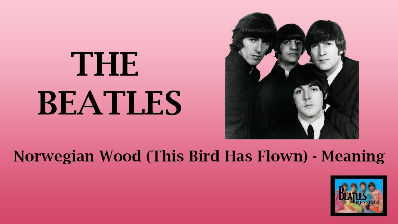 Bird has flown. Norwegian Wood Beatles. Битлз Норвегиан Вуд слушать. Norwegian Wood Beatles кто Автор?. Пластина норвежский лес Битлз.