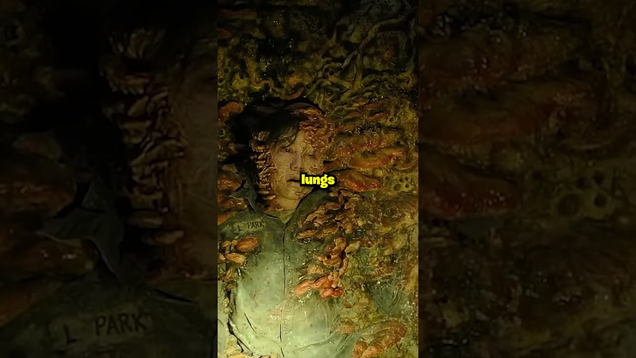 how Spores work in The Last of us 2!