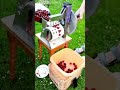 Cherry pitting machine