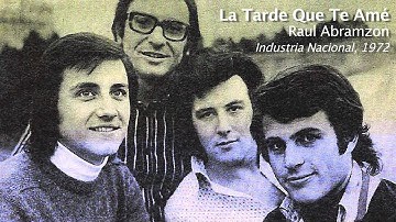 La Tarde Que Te Ame - Raul Abramzon