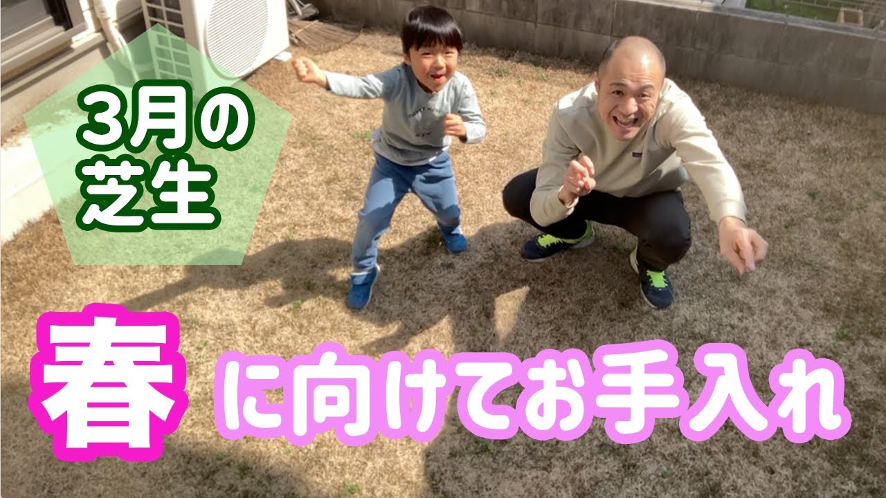 ３月の芝生のお手入れ 雑草 芝刈り サッチング 目土入れをやりましょう Youtube