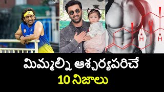 Top 10 Unknown Facts in Telugu |Interesting and Amazing Facts | Part 186| Minute Stuff