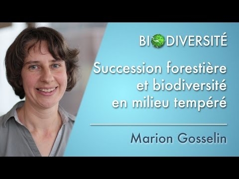 Vidéo: Quel stade de succession a le plus de biodiversité ?