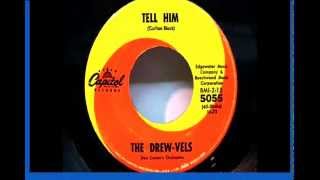 Miniatura del video "Tell Him-The Drew-Vels-1963"
