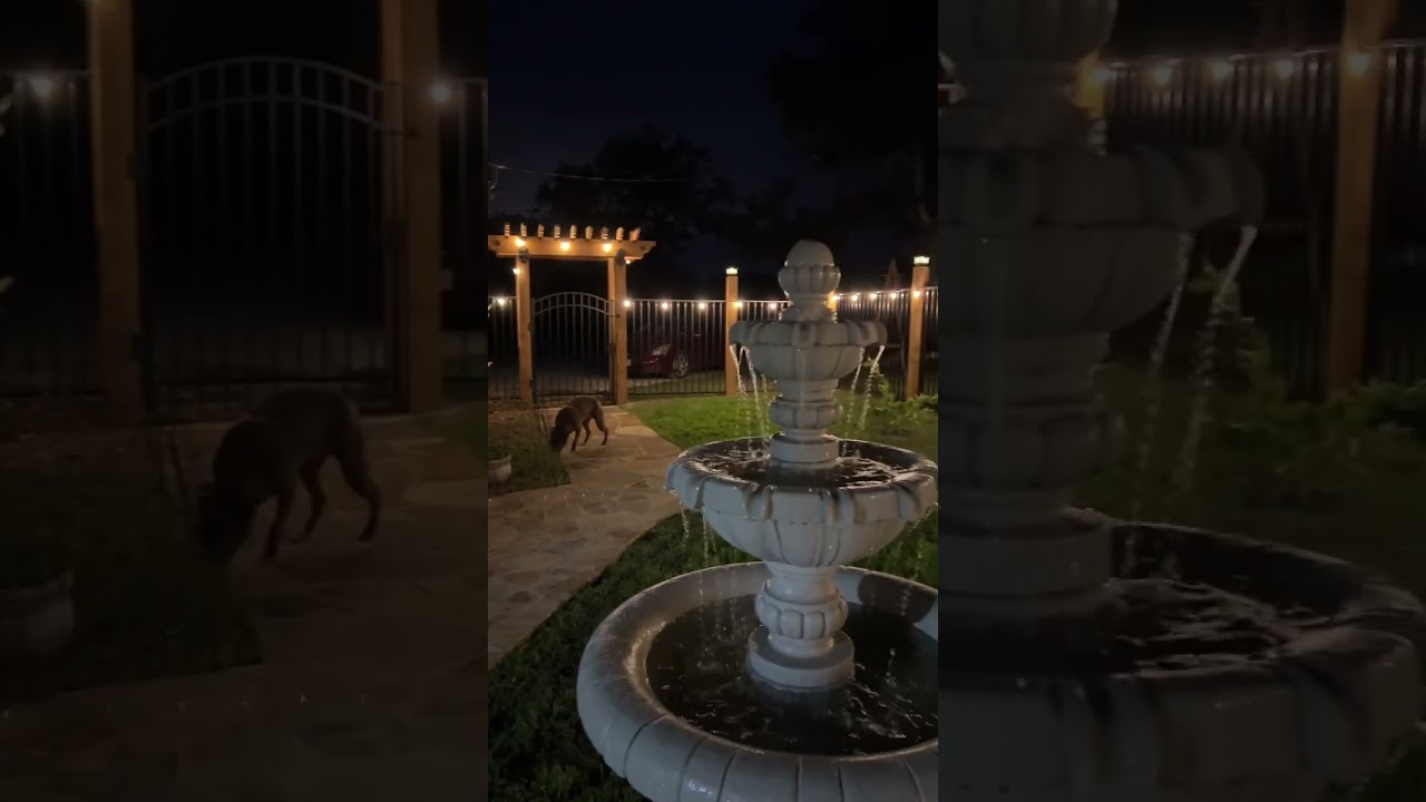 Do this 2 things for an amazing backyard😍 