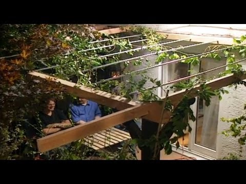 Video: Garden Windbreak Design – Pflanzen und Bäume, die als Windschutz wachsen