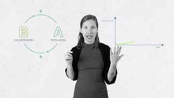 ST4FSS 6: Reinforcing Loops
