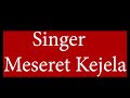 Singer Meseret Kejela 