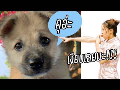 Highlight 48|ตอน:น้ำหนึ่ง ปะทะ ชาวี !!!!|Namneung BNK48